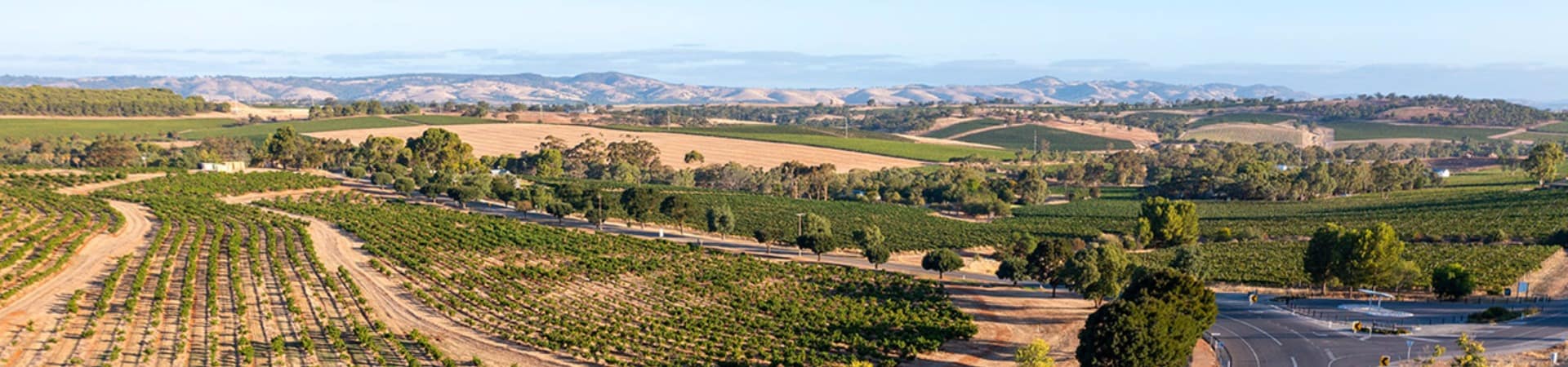 Tourism australia south australia vinicolas em barrosa valley